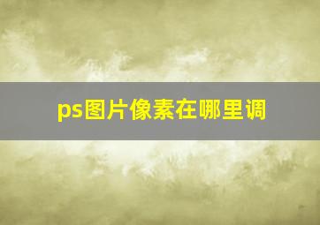 ps图片像素在哪里调