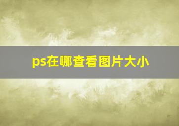 ps在哪查看图片大小