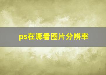 ps在哪看图片分辨率