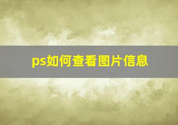 ps如何查看图片信息