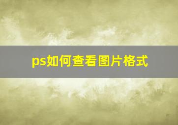 ps如何查看图片格式