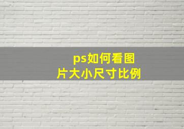 ps如何看图片大小尺寸比例