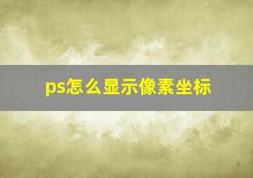 ps怎么显示像素坐标