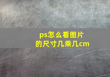 ps怎么看图片的尺寸几乘几cm