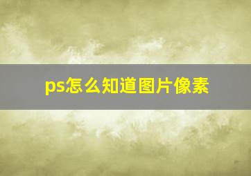 ps怎么知道图片像素