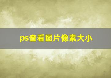 ps查看图片像素大小