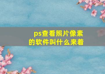 ps查看照片像素的软件叫什么来着