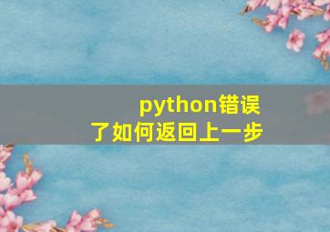 python错误了如何返回上一步