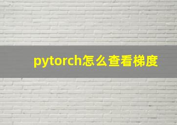 pytorch怎么查看梯度