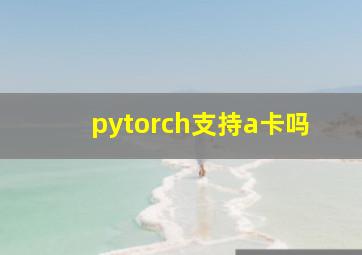 pytorch支持a卡吗