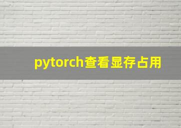 pytorch查看显存占用