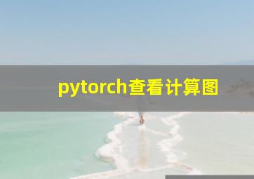 pytorch查看计算图