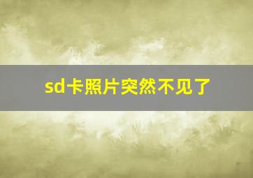 sd卡照片突然不见了