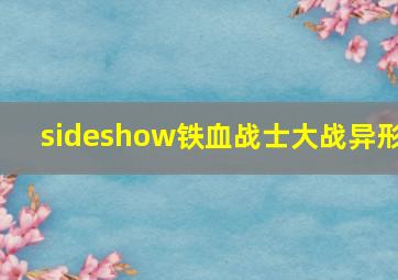 sideshow铁血战士大战异形