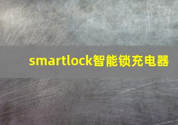 smartlock智能锁充电器