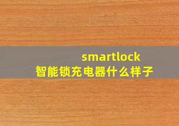 smartlock智能锁充电器什么样子