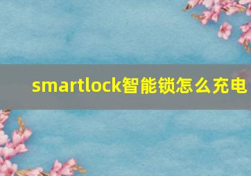 smartlock智能锁怎么充电