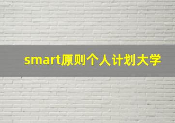 smart原则个人计划大学