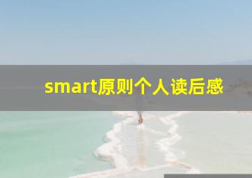 smart原则个人读后感