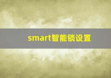 smart智能锁设置