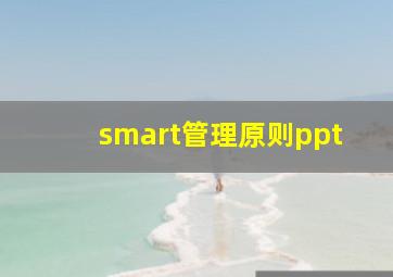 smart管理原则ppt