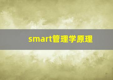 smart管理学原理