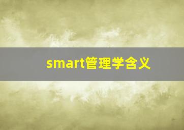 smart管理学含义