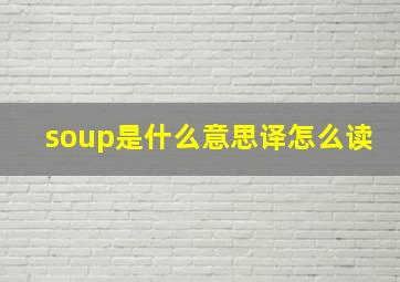 soup是什么意思译怎么读