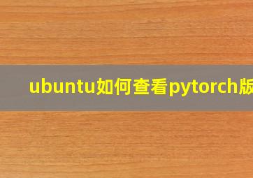 ubuntu如何查看pytorch版本