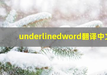 underlinedword翻译中文