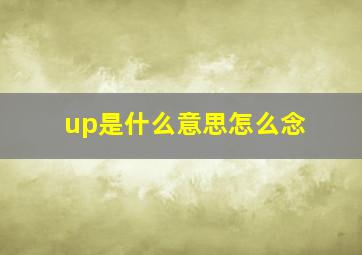 up是什么意思怎么念