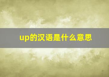 up的汉语是什么意思