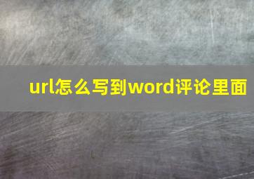 url怎么写到word评论里面