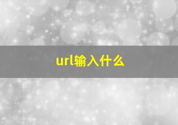 url输入什么