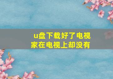 u盘下载好了电视家在电视上却没有