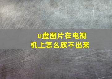 u盘图片在电视机上怎么放不出来