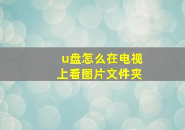 u盘怎么在电视上看图片文件夹