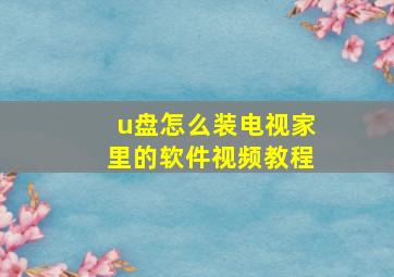 u盘怎么装电视家里的软件视频教程