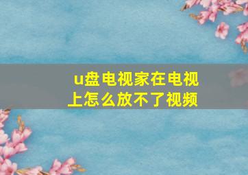 u盘电视家在电视上怎么放不了视频