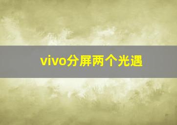 vivo分屏两个光遇