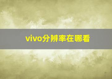 vivo分辨率在哪看