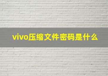 vivo压缩文件密码是什么