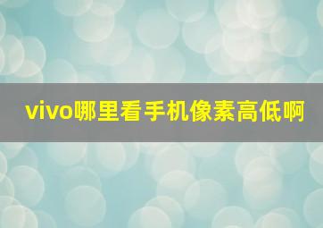 vivo哪里看手机像素高低啊