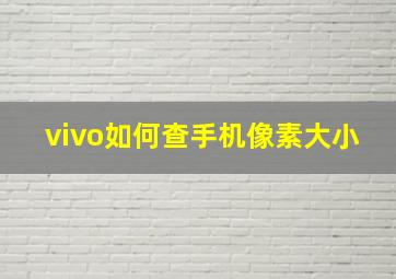 vivo如何查手机像素大小