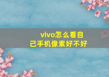 vivo怎么看自己手机像素好不好