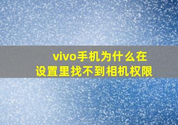 vivo手机为什么在设置里找不到相机权限