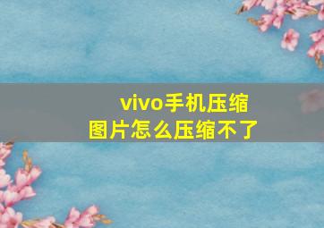 vivo手机压缩图片怎么压缩不了