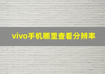 vivo手机哪里查看分辨率