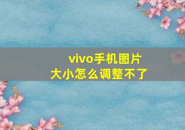 vivo手机图片大小怎么调整不了