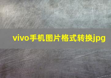 vivo手机图片格式转换jpg